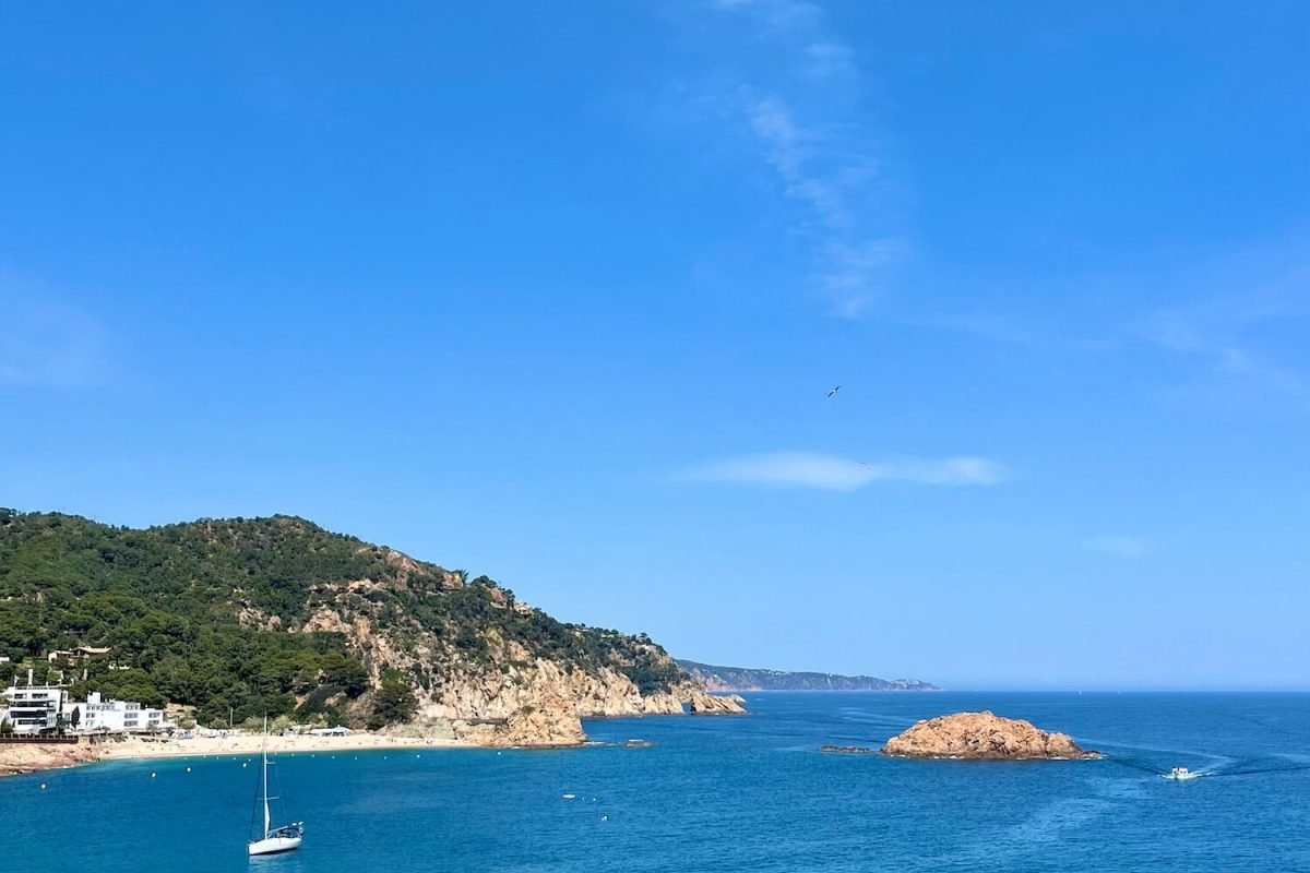 coastal view from private tour