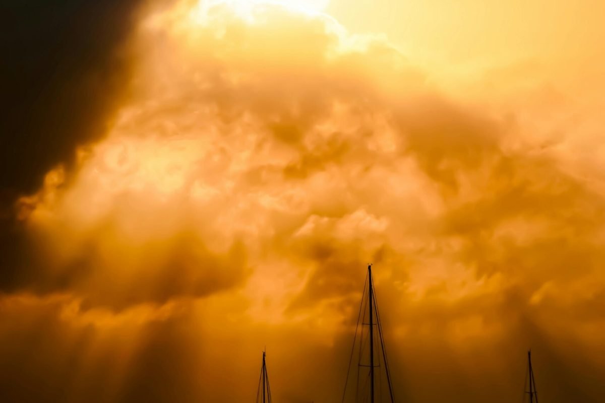 pexels-clive-kim-2523249-6307487